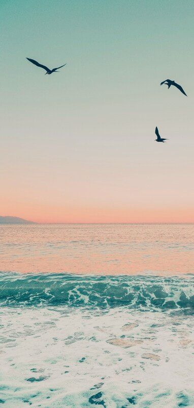 freepik-export-20251124073005bBdg